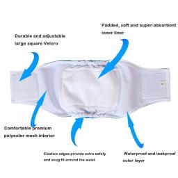 Calças fisiológicas laváveis à prova de vazamentos para cães, fralda masculina, fraldas de banda de barriga, cuecas, calcinha sanitária - Image 4