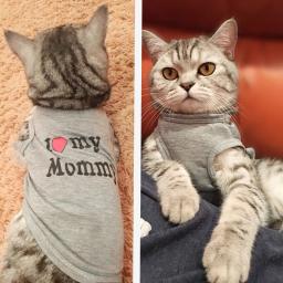 Novo gato bonito roupas primavera animal de estimação colete roupas para gato moda verão pet jacket impresso colete traje engraçado vestuário gato roupas - Image 2