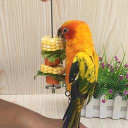 Suporte de suporte alimentar para pequenos animais, papagaios e alimentador de pássaros, fruta lança vara, espeto de carne, aço inoxidável - Image 3