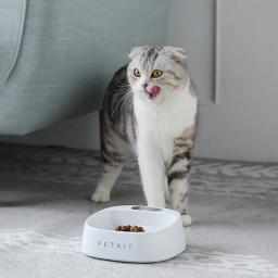 Petkit tigela digital para animal de estimação, tigela inteligente de alimentação para cães, com suporte, grande alimentador lento para beber - Image 6