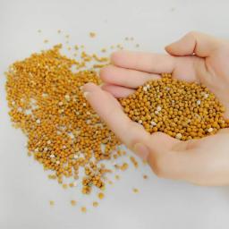 100g Aquário Planta De Água Concentrado Fertilizante Raiz Estrume Base de Água Do Tanque de Peixes Planta Grama Musgo Cultivo de Alimentos - Image 3