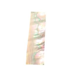 Folha Shell mexicano para instrumento musical DIY, acessórios e decoração para casa, espessura de 9mm, 1 lote de 10PCs - Image 6