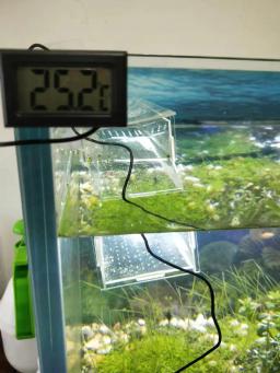 Termômetro digital lcd impermeável para aquário, precisão eletrônica ferramenta de medição de temperatura - Image 4
