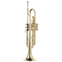 Ammoon-Brass Bb plana trompete, requintado, durável instrumento musical, bocal, luvas, caso de cinta, requintado - Image 4