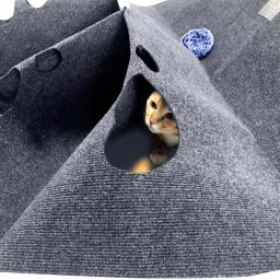 Tapete do jogo para gatos interativos que riscam o tapete da cama que consome energia para o gato interno - Image 5
