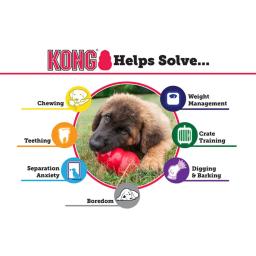 Kong-cão mastigar brinquedo, tamanho s/m/l - Image 6