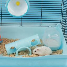 Tubo elástico de hamster, brinquedo interativo de plástico para animais de estimação - Image 3