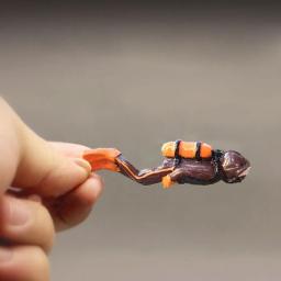 Estatueta modelo de cena em miniatura, Estatueta do mundo subaquático, Sea Explore Divers Decoração, Action Figures Brinquedos - Image 4