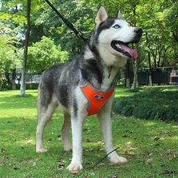 Arnês Reflexivo Ajustável para Animais de Estimação, Arnês Durável para Cães Pequenos Médios e Grandes, Pitbull e Husky do Alasca - Image 6