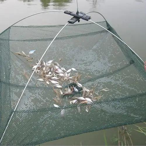 Rede de Pesca Dobrada para Captura de Peixes Pequenos, Camarões e Caranguejos - Malha Ideal com 60cm de Diâmetro