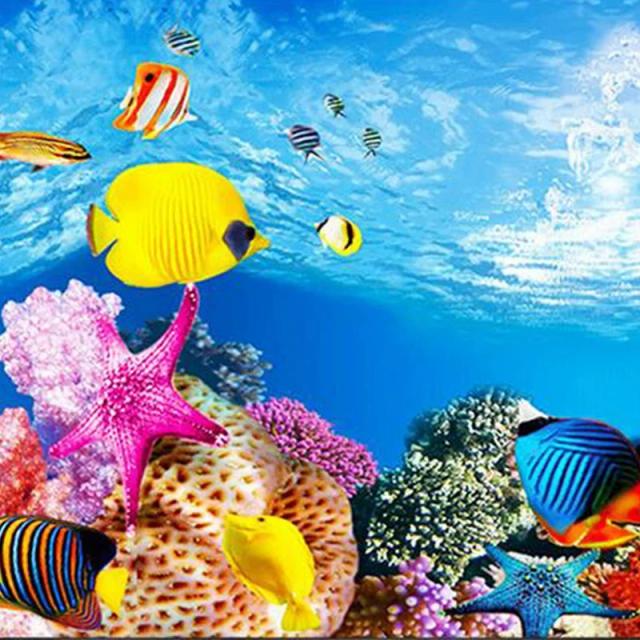Fundo para Aquário em HD: Pintura 3D Dupla Face com Imagem de Tanque de Peixes