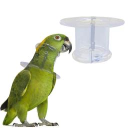 Colar pássaro papagaio mordida anti pescoço suprimentos neckband recuperação colar pet cone arrancando coleiras capa aves picking elizabethan - Image 1