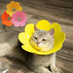 Coleira eletrônica de recuperação de gato, colar feminino para cura contra feridas e cicatrização - Image 2