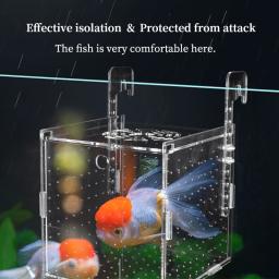 Multifuncional Caixa De Isolamento Do Aquário, Pequeno Fry Reprodução Caixa, Desova, Sala Para Chocar, Acessórios Do Tanque De Peixes, Suprimentos De Peixe - Image 2