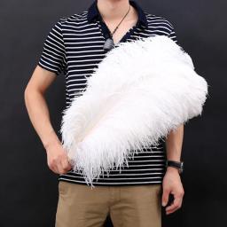 Atacado elegante branco penas de avestruz para artesanato 15-75cm fontes de festa de casamento carnaval dançarino decoração plumas plumages - Image 6