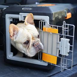 Alwaysm-transportador portátil dobrável para animais de estimação, gato de cachorro, air cairrier, carregador superior de duas portas, resistente, viagem para animais de estimação - Image 2