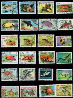 50 Pçs/lote Peixe Selo Selos postais Tema Diferente De Muitos Países NÃO Repetir com Pós Marca para a Coleta de - Image 1