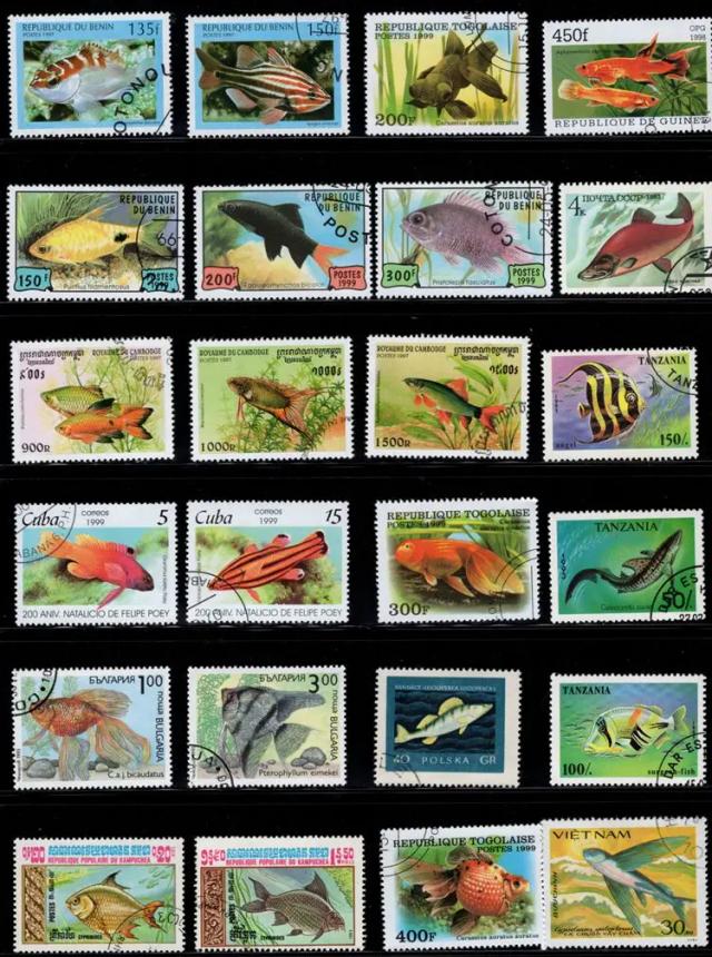 Coleção de 50 Selos Postais de Peixes de Diversos Países Sem Repetição para Colecionadores
