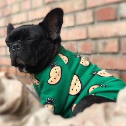 Roupas quentes para cães pequenos, moletom aconchegante para buldogue francês, capuz de Yorkshire para cachorro, roupas para cães, camisola de inverno - Image 1