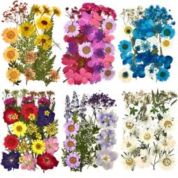 Resina UV Flores Secas, Adesivos de Flores Naturais, Decalque de Beleza Seca para Epóxi DIY, Enchimento Decoração Jóias, 1 Pacote - Image 1