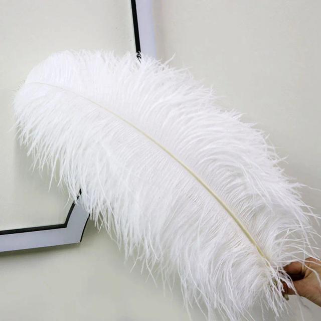 Conjunto de 10 Penas de Avestruz Brancas Naturais para Artesanato e Decoração de Festas, Casamentos e Natal - Tamanhos de 15 a 70 cm