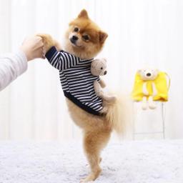 Roupas de inverno para cachorro de estimação, moda de bolso, urso, listras, moletom para animais de estimação, mantém o calor da pomerania, roupa para cães pequenos, 1 peça - Image 4