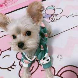Roupas quentes para cães pequenos, moletom aconchegante para buldogue francês, capuz de Yorkshire para cachorro, roupas para cães, camisola de inverno - Image 3