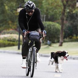 Rinoway bolsa de ombro para bicicleta, bolsa portátil multifuncional à prova d'água para ciclismo, acessório para bike 2020 - Image 3