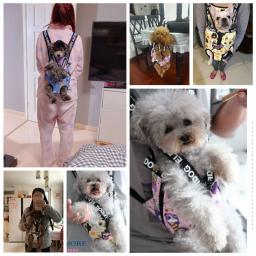 Mochila Transportadora de Animais Frente e Traseira, Bolsa Conforto, Transportadora para Cães e Gatos, Pequeno Animal, Frente e Ombro, Viagem, Buldogue Francês, Carregando - Image 3