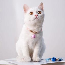Suprimentos para animais de estimação gato sinos acessórios para animais de estimação coleiras de gato shrinkable estilo japonês elástico sinos coleiras de gato anti-perdido bonito rabbi - Image 3