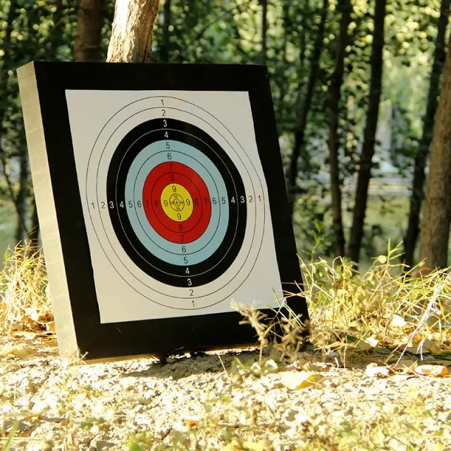 Alvo Portátil para Tiro com Arco 3D - Acessórios de Paintball 50x50x5cm à Venda