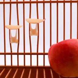 Novo 1 pçs pássaros papagaios frutas garfo para animais de estimação suprimentos plástico suporte de alimentos prateleira alimentação na gaiola suprimentos para animais de estimação frutas lanches garfo - Image 6