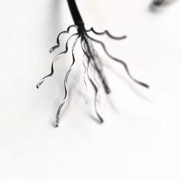 Cabo de ginástica grosso de 5/6mm, corda de fio de aço resistente para máquina de cabo, sistema de polia de levantamento de peso para academia em casa, acessórios de treino - Image 3