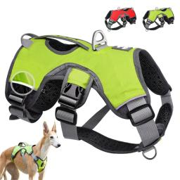 Coleira para cães, coleira forte para animais de estimação, ajustável, macia, para lojas de animais de estimação, produtos para pets - Image 2