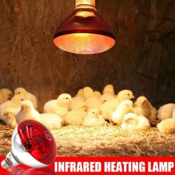 Lâmpada de aquecimento de criação para porco frango 100/150/200/250w lâmpadas de calor luz agrícola infravermelho ray led hatch cão gato cor vermelha - Image 2