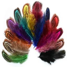 20/100 pces faisão penas para artesanato diy marabou penas jóias fazendo decoração de casamento pluma artesanato acessórios 4-8cm - Image 2
