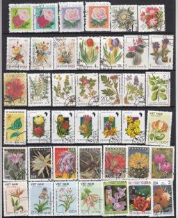 50 pcs/set flores todos diferentes de muitos países NÃO repete com selos postais para coleta - Image 6