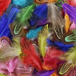 20/100 pces faisão penas para artesanato diy marabou penas jóias fazendo decoração de casamento pluma artesanato acessórios 4-8cm - Image 5