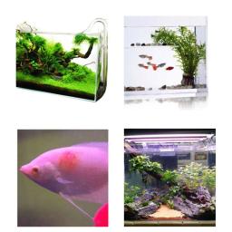 Pó amarelo para aquário, peixes decorativos, imediato, previne infecção, medicamento para machucados - Image 2