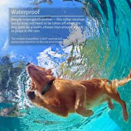 Coleira elétrica para treinamento de cães, à prova d'água, controle remoto para animais de estimação, recarregável, 500m, coleira para treinamento de cães com som de vibração de choque - Image 4