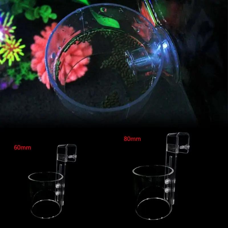 Anel De Alimentador De Peixe De Acrílico Portátil, Círculo De Alimentação De Aquário, Suprimentos De Tanque De Peixes - Image 1