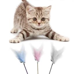 Varinha de brinquedo para gatos, brinquedo divertido de primavera para gatos, com penas falsas, varinha para provocar gatos, com coleira, suprimentos para animais de estimação - Image 2