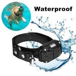 Coleira de treinamento para cães, dispositivo elétrico de treinamento para animais de estimação, com controle remoto e à prova d'água, 3 canais, recarregável - Image 2