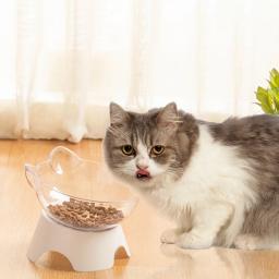 Tigela de gato antiderrapante transparente com base de suporte, Pet Food e alimentadores de água, Alimentadores de gatos e cães - Image 2