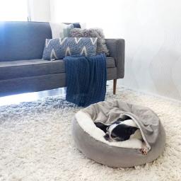 Benepaw-Cama Ortopédica para Cachorro com Cobertor Encapuzado, Impermeável, Resistente à Sujeira, Gato, Casa de Cachorros, Lavável à Máquina, Quente, Inverno - Image 5