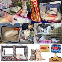 Promoção! Caixa de areia dobrável para gatos, banheiro portátil, à prova d'água, simples, dobrável, para uso externo e viagem - Image 6