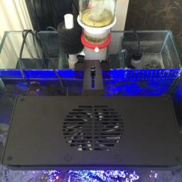 Lâmpada led multifuncional para aquário, espectro, multi-cores, controle inteligente de água do mar, coral, grama aquática, vários ajustes - Image 5