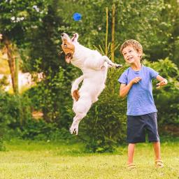 Bola sólida de borracha insuflável para Pet Dog, Resistência a mastigar brinquedos, Jogando ao ar livre e recuperação, Treinamento para cães - Image 4