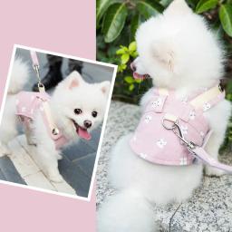 Colete de malha respirável para cachorro, coleira fofa com cinta peitoral para caminhada corrida para cães e chihuahua de pomerania - Image 1