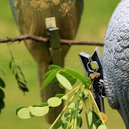 EVA Foam Shooting Target for Hunting Bow and Arrow, 3D Hollow Animal, Pigeon Bait, ao ar livre, 1Pc - Image 6